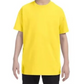 Youth T-Shirt [COLOR]