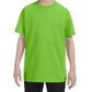 Youth T-Shirt [COLOR]