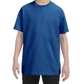 Youth T-Shirt [COLOR]