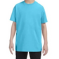 Youth T-Shirt [COLOR]
