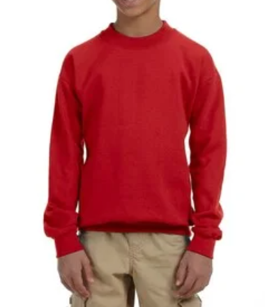 Youth Crewneck [COLOR]