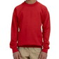 Youth Crewneck [COLOR]
