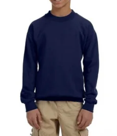 Youth Crewneck [COLOR]