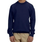Youth Crewneck [COLOR]