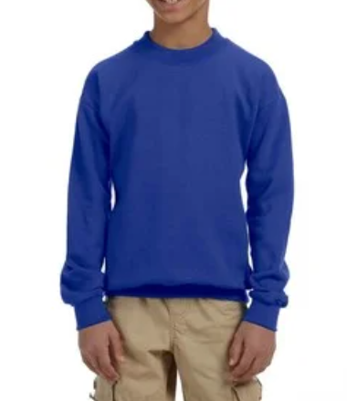 Youth Crewneck [COLOR]