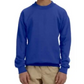 Youth Crewneck [COLOR]
