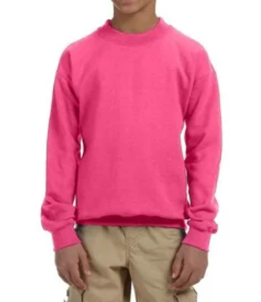 Youth Crewneck [COLOR]