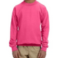 Youth Crewneck [COLOR]