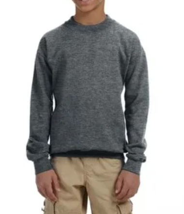 Youth Crewneck [COLOR]