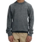 Youth Crewneck [COLOR]