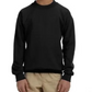 Youth Crewneck [COLOR]