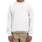 Youth Crewneck [COLOR]