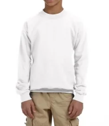 Youth Crewneck [COLOR]