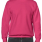 Adult Crewneck [COLOR]