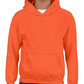 Youth Sweatshirt [COLOR]