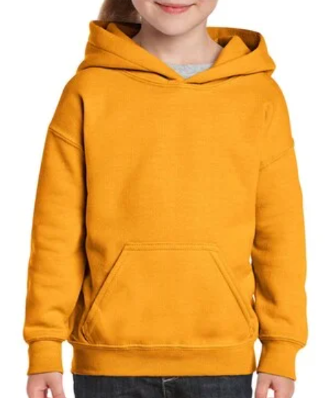 Youth Sweatshirt [COLOR]
