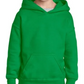 Youth Sweatshirt [COLOR]