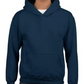 Youth Sweatshirt [COLOR]