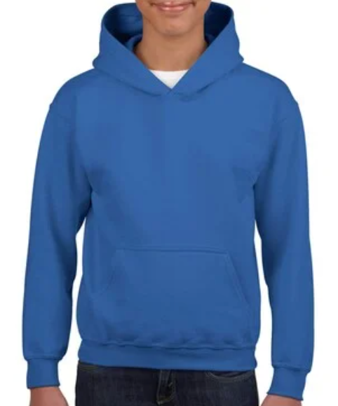 Youth Sweatshirt [COLOR]