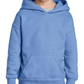 Youth Sweatshirt [COLOR]