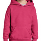 Youth Sweatshirt [COLOR]