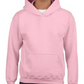 Youth Sweatshirt [COLOR]
