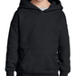 Youth Sweatshirt [COLOR]