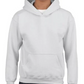Youth Sweatshirt [COLOR]