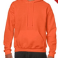 Adult Sweatshirt [COLOR]