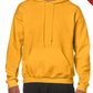 Adult Sweatshirt [COLOR]