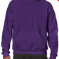 Adult Sweatshirt [COLOR]