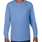 Youth Long Sleeve [COLOR]